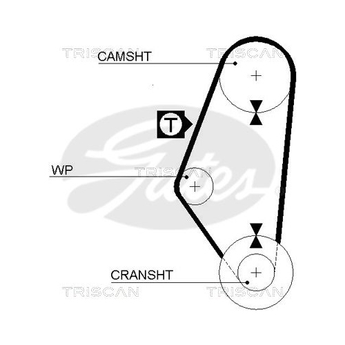 TRISCAN Zahnriemen
