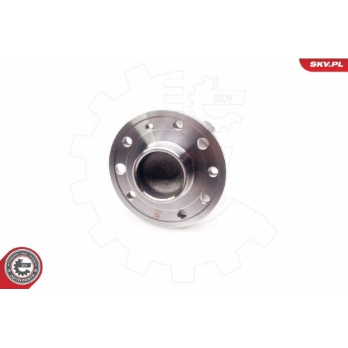 ESEN SKV Radlagersatz