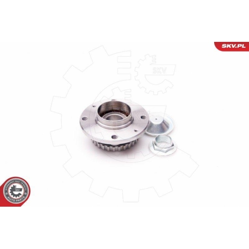 ESEN SKV Radlagersatz