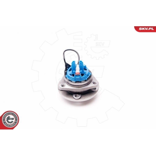 ESEN SKV Radlagersatz