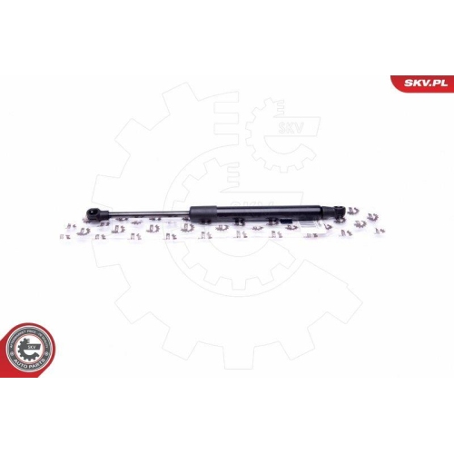 ESEN SKV Gasfeder, Koffer-/Laderaum