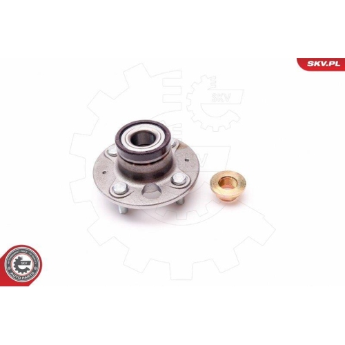 ESEN SKV Radlagersatz