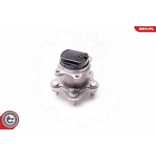 ESEN SKV Radlagersatz