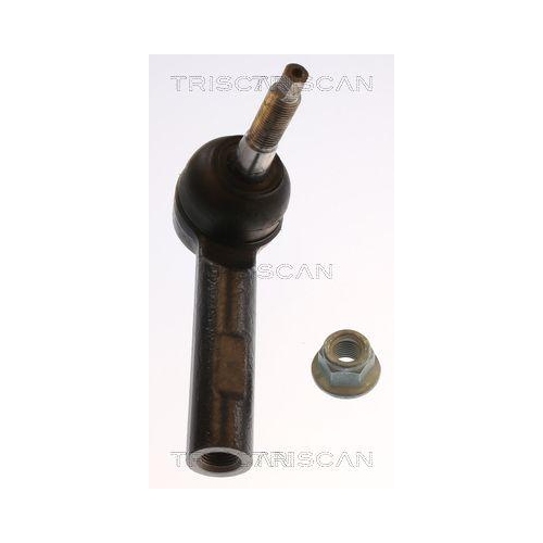TRISCAN Spurstangenkopf