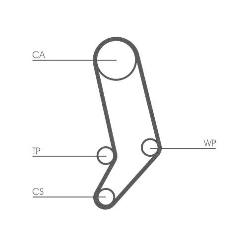 CONTINENTAL CTAM Zahnriemen