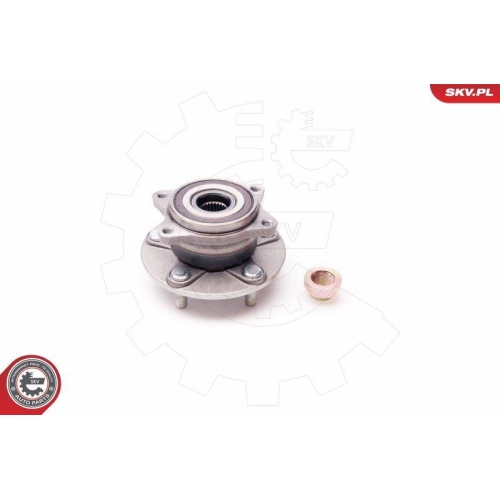 ESEN SKV Radlagersatz