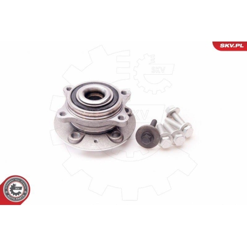 ESEN SKV Radlagersatz