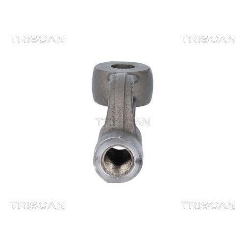 TRISCAN Spurstangenkopf