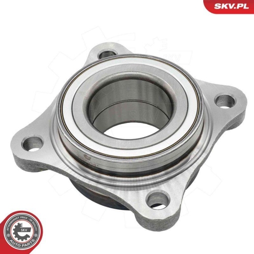 ESEN SKV Radlagersatz