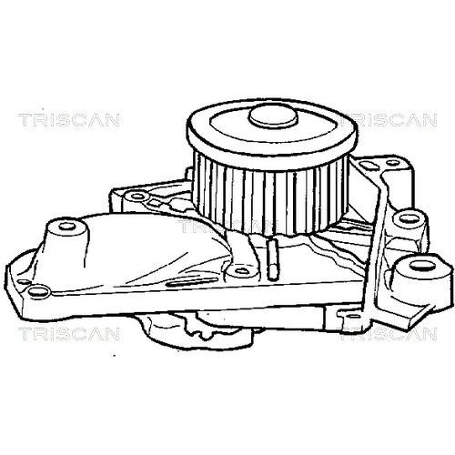 TRISCAN Wasserpumpe, Motorkühlung