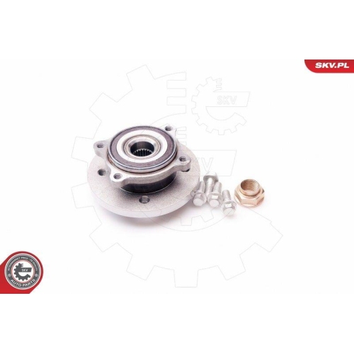 ESEN SKV Radlagersatz
