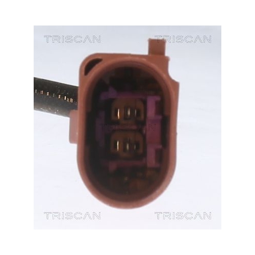 TRISCAN Sensor, Abgastemperatur