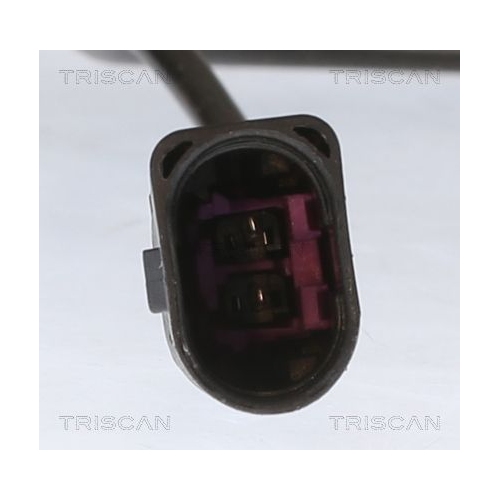 TRISCAN Sensor, Abgastemperatur