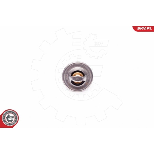 ESEN SKV Thermostat, Kühlmittel