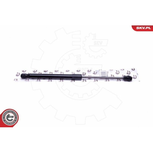 ESEN SKV Gasfeder, Koffer-/Laderaum