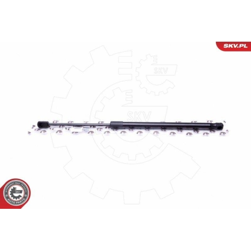 ESEN SKV Gasfeder, Koffer-/Laderaum