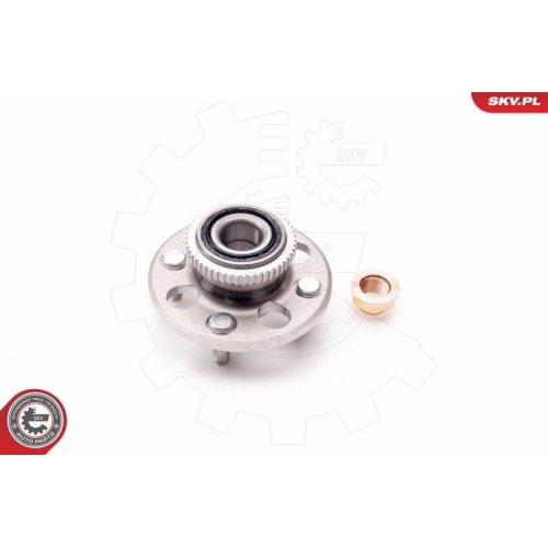 ESEN SKV Radlagersatz