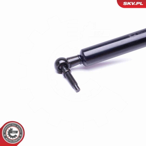 ESEN SKV Gasfeder, Koffer-/Laderaum