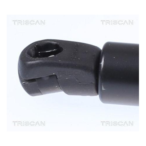 TRISCAN Gasfeder, Koffer-/Laderaum
