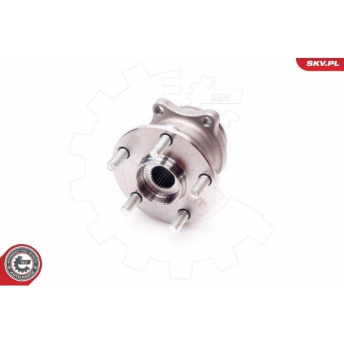 ESEN SKV Radlagersatz