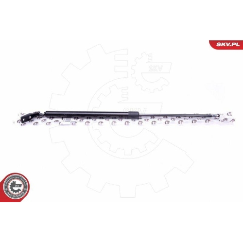 ESEN SKV Gasfeder, Koffer-/Laderaum