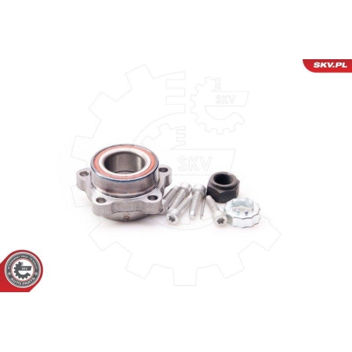 ESEN SKV Radlagersatz