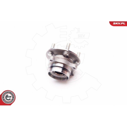 ESEN SKV Radlagersatz