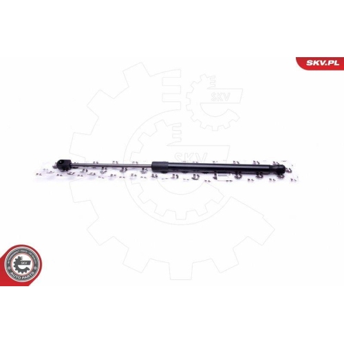 ESEN SKV Gasfeder, Koffer-/Laderaum