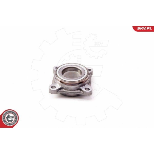 ESEN SKV Radlagersatz