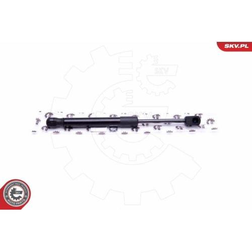 ESEN SKV Gasfeder, Koffer-/Laderaum