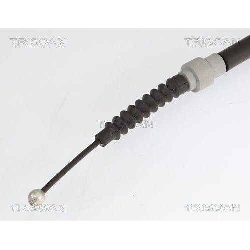 TRISCAN Seilzug, Feststellbremse