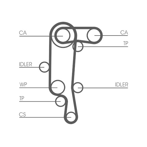 CONTINENTAL CTAM Zahnriemen