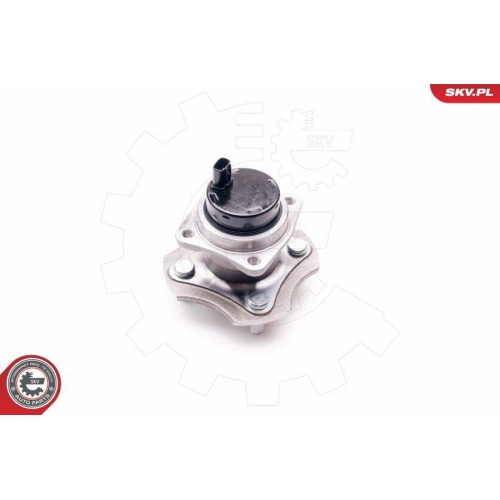 ESEN SKV Radlagersatz