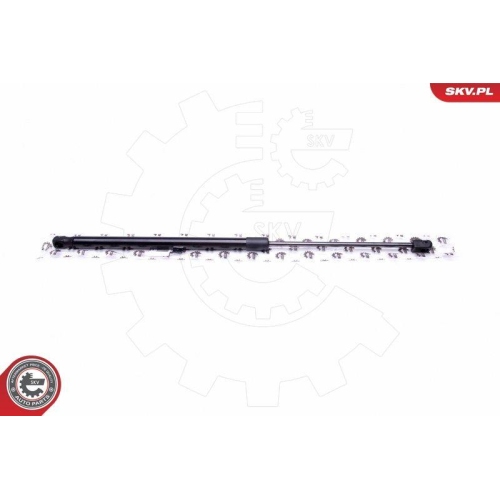 ESEN SKV Gasfeder, Koffer-/Laderaum