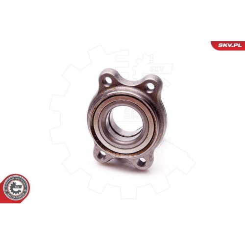 ESEN SKV Radlagersatz