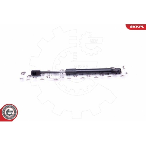 ESEN SKV Gasfeder, Koffer-/Laderaum