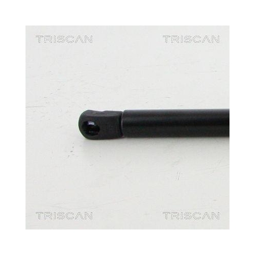 TRISCAN Gasfeder, Koffer-/Laderaum