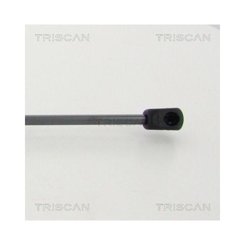 TRISCAN Gasfeder, Koffer-/Laderaum