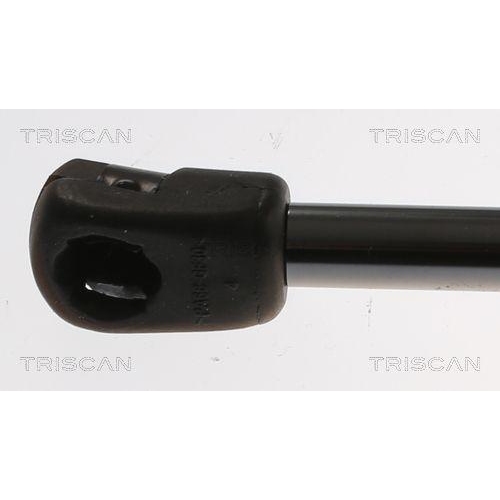 TRISCAN Gasfeder, Koffer-/Laderaum