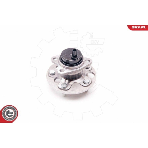 ESEN SKV Radlagersatz