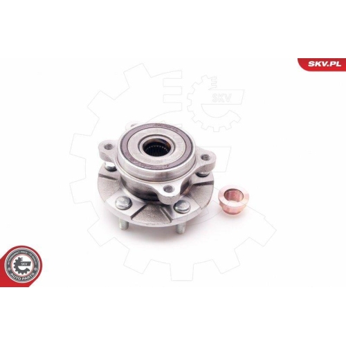 ESEN SKV Radlagersatz