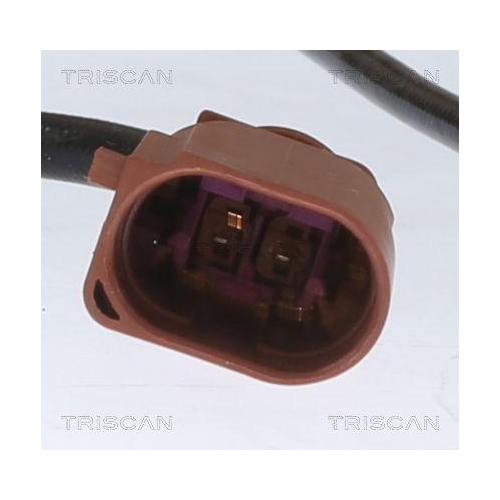 TRISCAN Sensor, Abgastemperatur