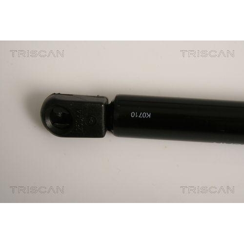 TRISCAN Gasfeder, Koffer-/Laderaum