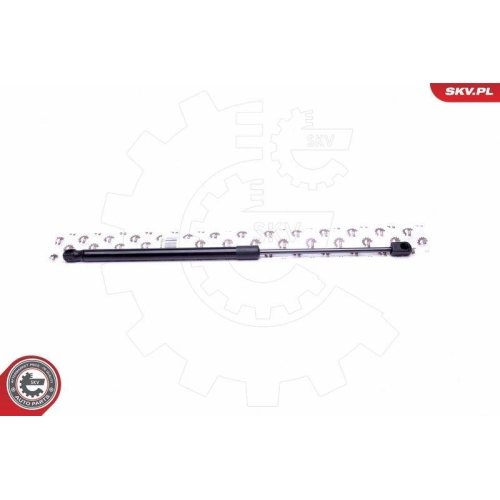 ESEN SKV Gasfeder, Koffer-/Laderaum