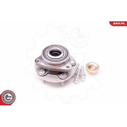 ESEN SKV Radlagersatz