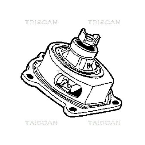 TRISCAN Wasserpumpe, Motorkühlung