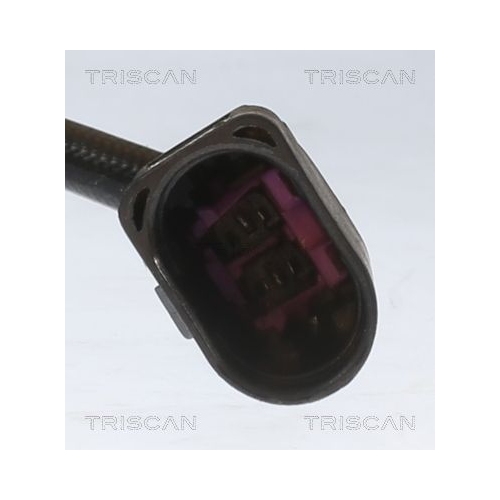 TRISCAN Sensor, Abgastemperatur