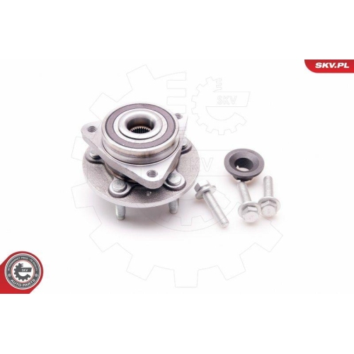 ESEN SKV Radlagersatz