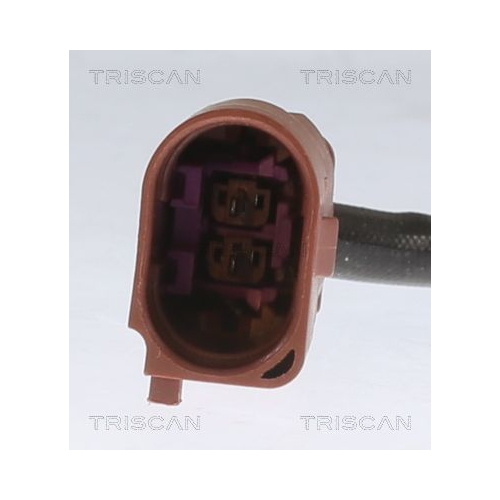 TRISCAN Sensor, Abgastemperatur