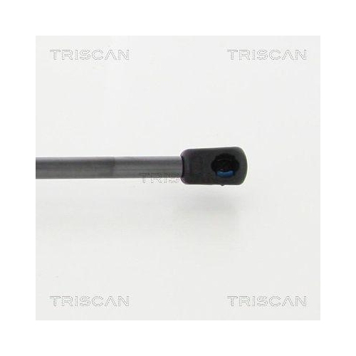 TRISCAN Gasfeder, Koffer-/Laderaum